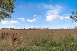 Photo 86- click for photo gallery